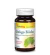 Ginkgo Biloba 60mg - 90